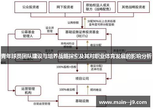青年球员团队建设与培养战略探索及其对职业体育发展的影响分析