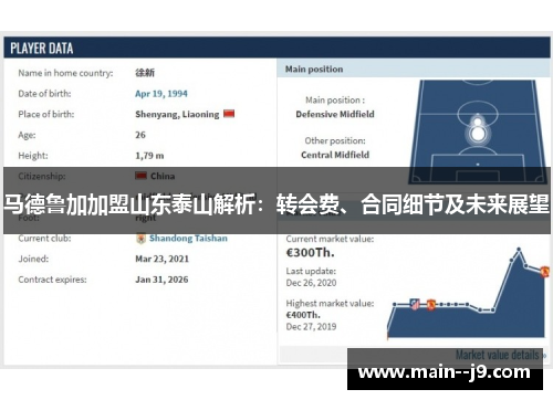 马德鲁加加盟山东泰山解析：转会费、合同细节及未来展望