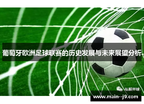 葡萄牙欧洲足球联赛的历史发展与未来展望分析