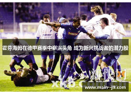 霍芬海姆在德甲赛季中崭露头角 成为新兴挑战者的潜力股 霍芬海姆在德甲赛季中崭露头角 成为新兴挑战者的潜力股